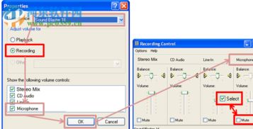 bandicam破解補丁 bandicam破解補丁文件包 2.1.2.740 免費版 河東下載站